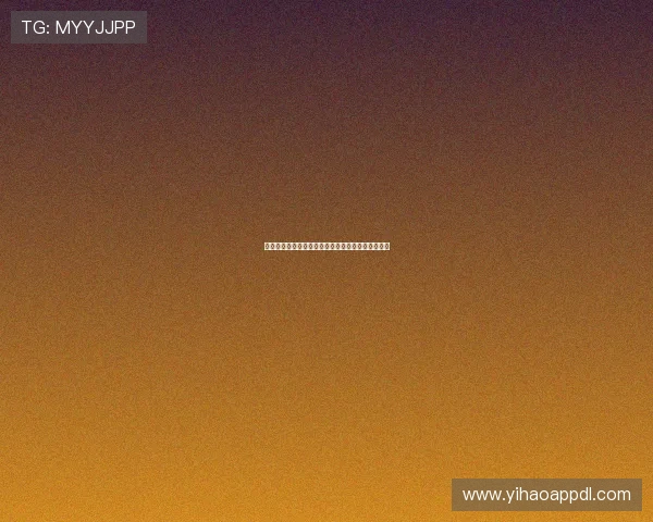 壹号网络科技有限公司：引领数字化转型的创新先锋